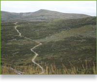 Snowy Mountains Escape Holidays - Photo 1