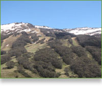 Snowy Mountains Escape Holidays - Photo 2