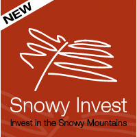 Snowy Invest